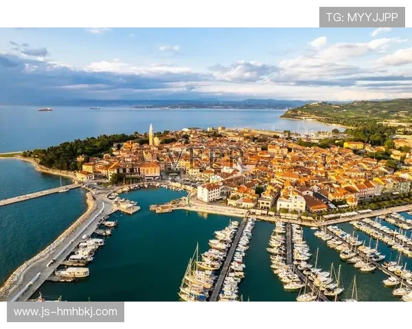 伊尼亚基职业轨迹