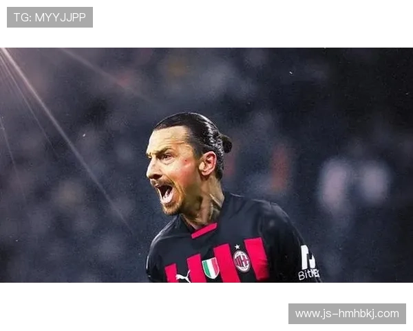 瑞典伊布退役影响